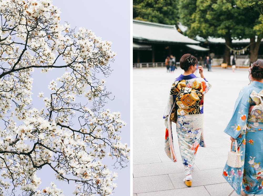 my-favourite-blogs-2-take-courage-recipe-japan-geiko-blossom